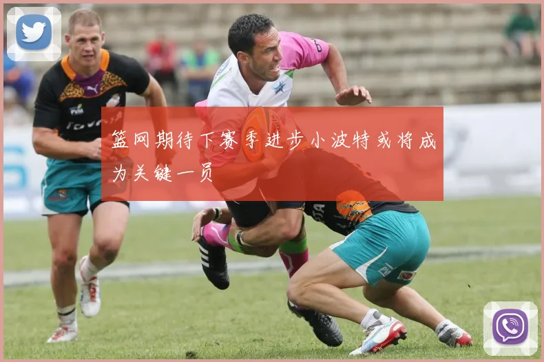 篮网期待下赛季进步小波特或将成为关键一员