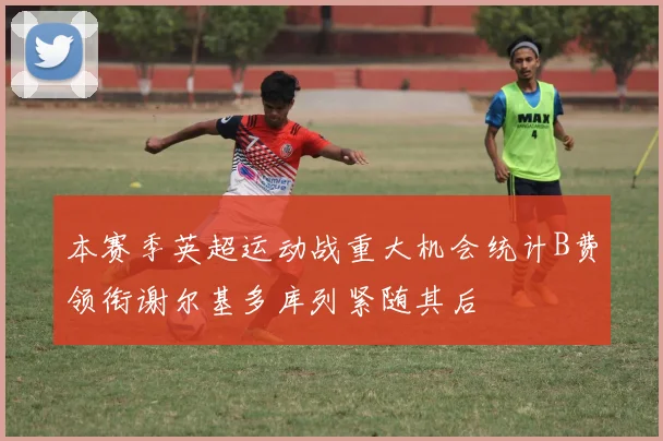 本赛季英超运动战重大机会统计B费领衔谢尔基多库列紧随其后