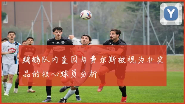 鹈鹕队内奎因与费尔斯被视为非卖品的核心球员分析