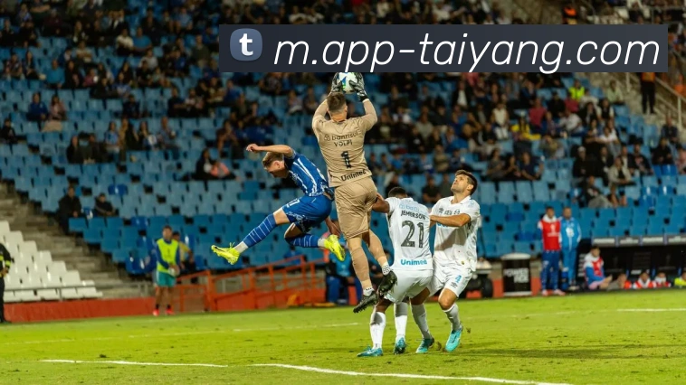 多媒体互动体验